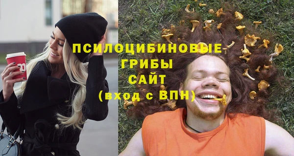 мет Бородино