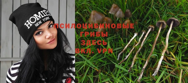 эйфоретик Бронницы