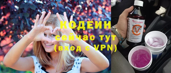 мет Бородино