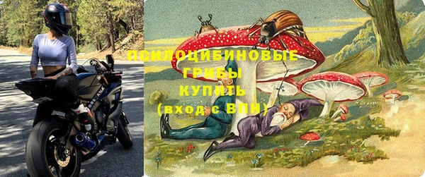 мет Бородино