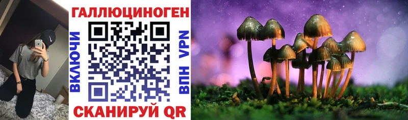 Псилоцибиновые грибы GOLDEN TEACHER  Купить  Выкса 